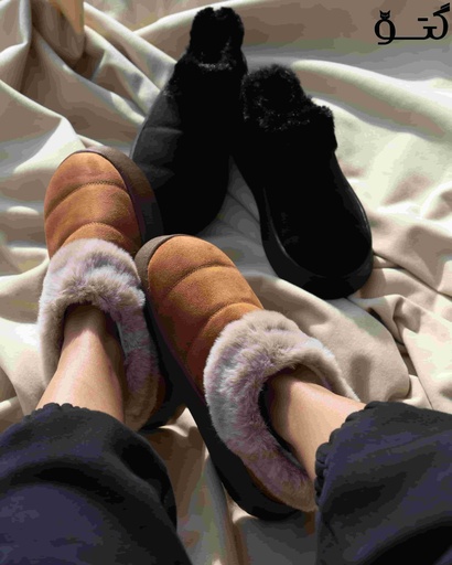 اسلیپر سول خزدار